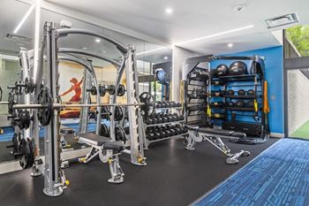 Fitness center weights